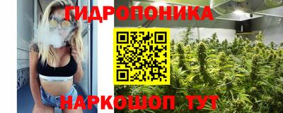 метадон Гусь-Хрустальный