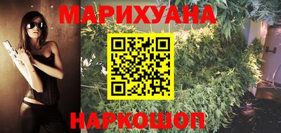 индика Гусиноозёрск