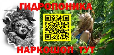 индика Гусиноозёрск