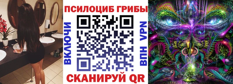 Галлюциногенные грибы Cubensis  МЕГА ссылки  Новоалександровск 