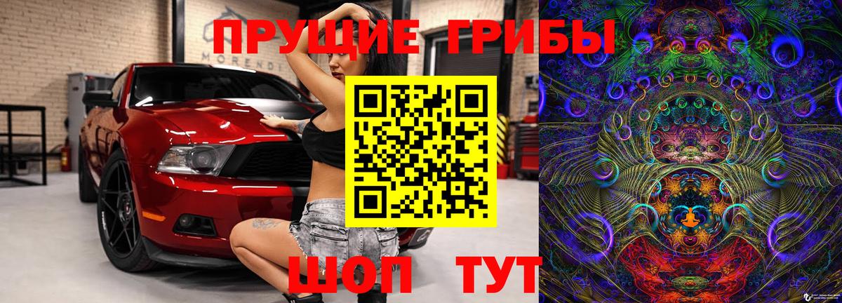 Псилоцибиновые грибы GOLDEN TEACHER  Вход с VPN  Галлюциногенные грибы Magic Shrooms  Новоалександровск 