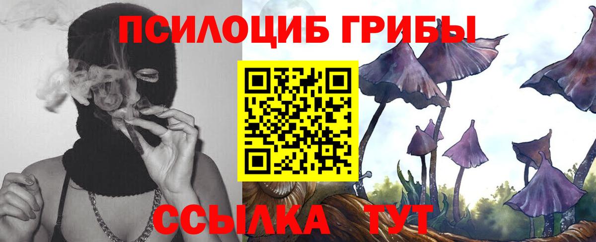 Галлюциногенные грибы Magic Shrooms Новоалександровск